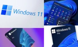 Win 11 Pro Lisansı Nedir?